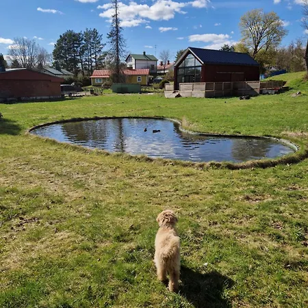 Luxury And Sauna Space * Lovisa